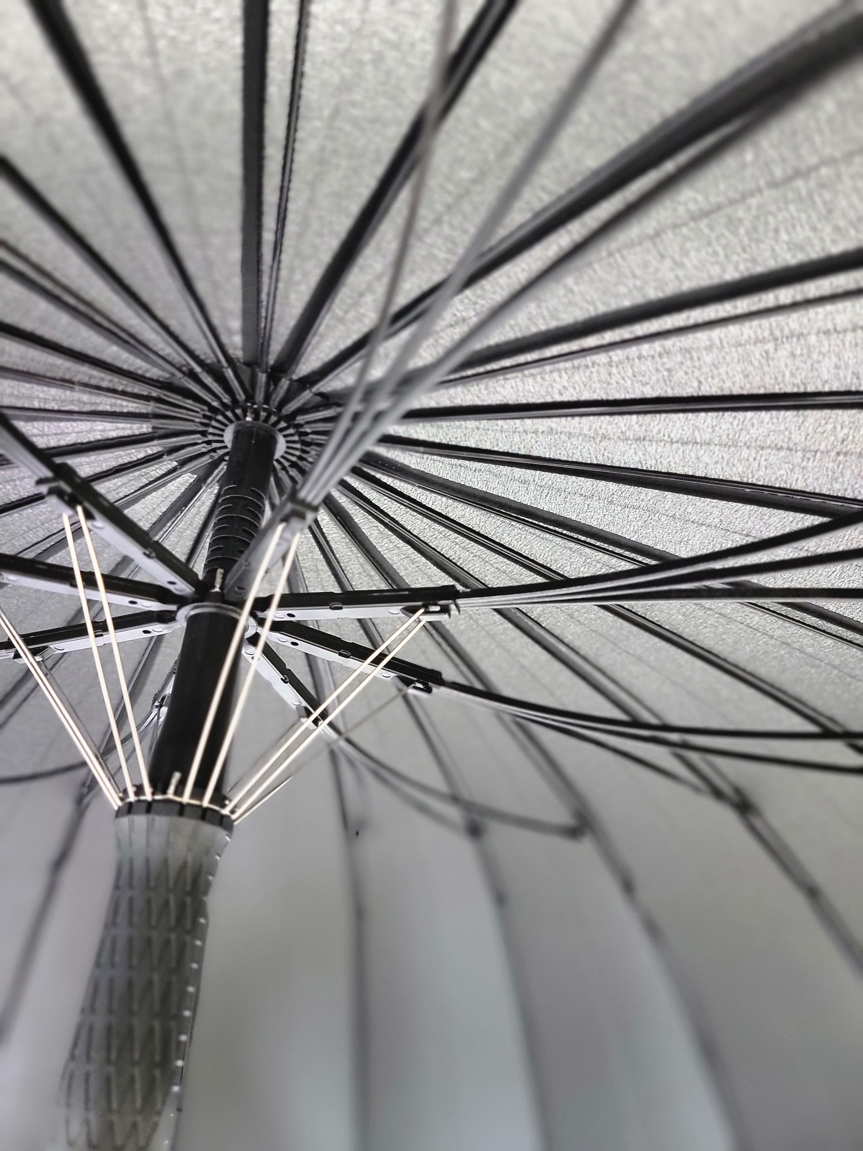 骨組みディテール